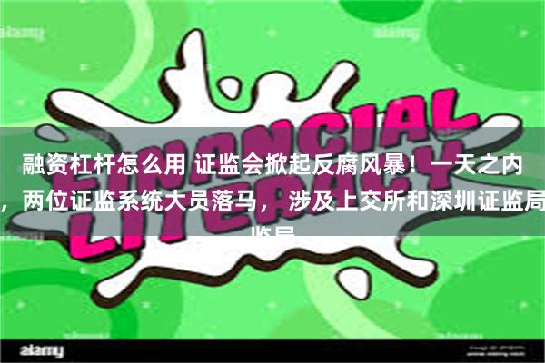 融资杠杆怎么用 证监会掀起反腐风暴！一天之内，两位证监系统大员落马， 涉及上交所和深圳证监局