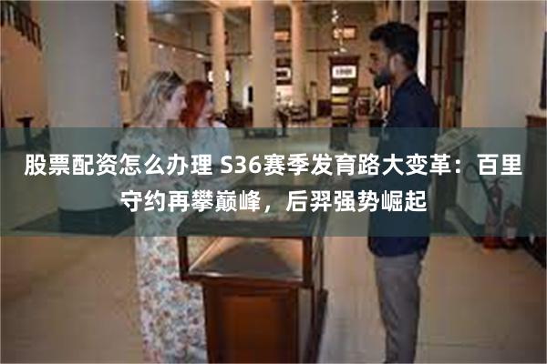 股票配资怎么办理 S36赛季发育路大变革：百里守约再攀巅峰，后羿强势崛起