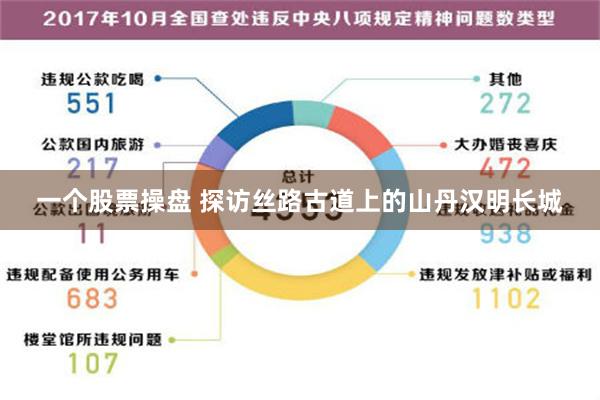 一个股票操盘 探访丝路古道上的山丹汉明长城