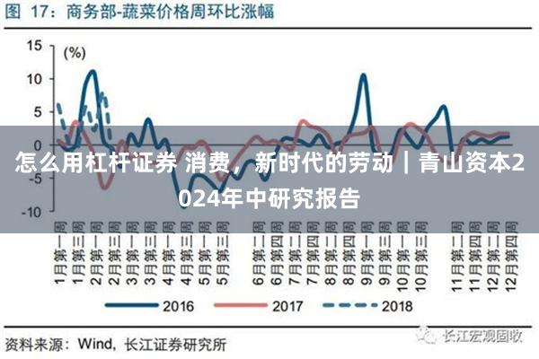 怎么用杠杆证券 消费，新时代的劳动｜青山资本2024年中研究报告