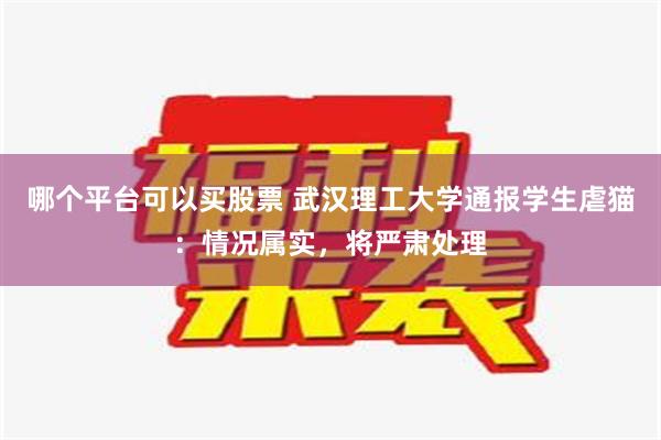 哪个平台可以买股票 武汉理工大学通报学生虐猫：情况属实，将严肃处理