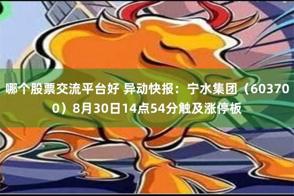 哪个股票交流平台好 异动快报：宁水集团（603700）8月30日14点54分触及涨停板