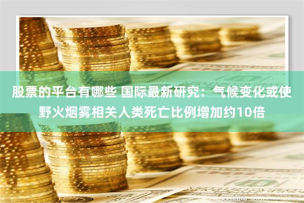 股票的平台有哪些 国际最新研究：气候变化或使野火烟雾相关人类死亡比例增加约10倍