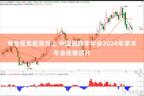 专业低息配资线上 中国民族学学会2024年学术年会在穗召开