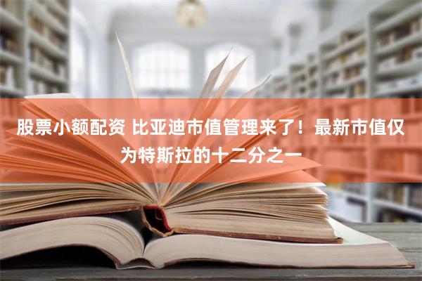 股票小额配资 比亚迪市值管理来了！最新市值仅为特斯拉的十二分之一