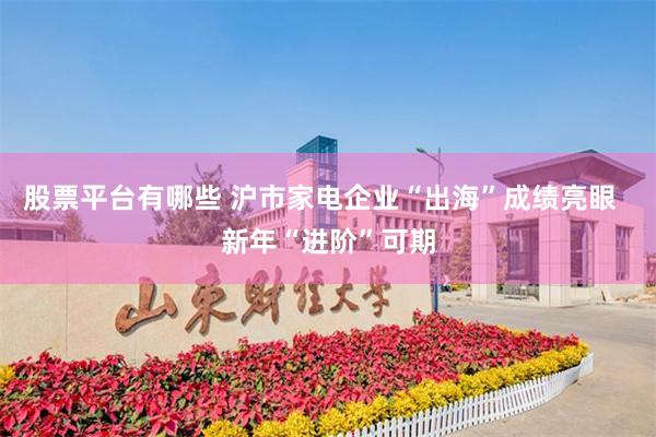 股票平台有哪些 沪市家电企业“出海”成绩亮眼  新年“进阶”可期